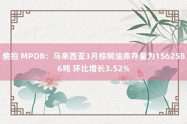 偷拍 MPOB：马来西亚3月棕榈油库存量为1562586吨 环比增长3.52%